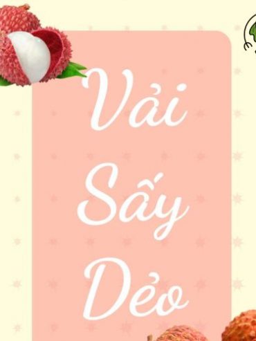 Vải Sấy Dẻo